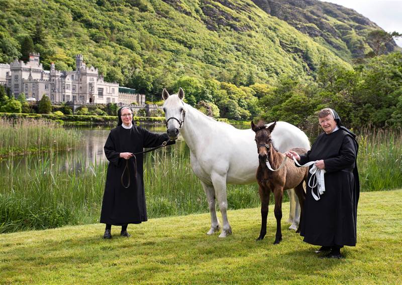 Two nuns in traditional attire stand in a lush green landscape, holding a white horse and a brown foal. In the background, a grand castle is reflected in a serene lake, surrounded by hills and trees. The image captures a tranquil moment showcasing the bond between the nuns and the horses in a picturesque setting.