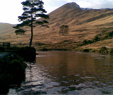 A scenic view of a tranquil river surrounded by rolling hills and a solitary pine tree, showcasing the beauty of nature in a mountainous landscape.