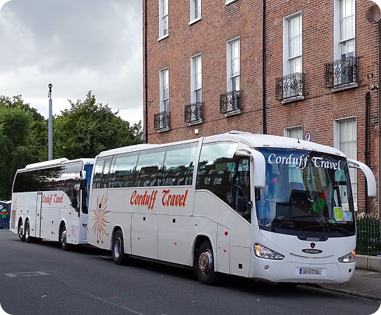 Two Corduff Travel buses parked on a city street, showcasing their sleek design and branding against a backdrop of brick buildings and greenery.