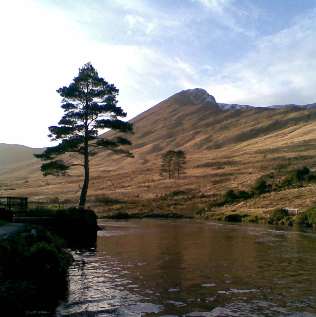 Scenic view of a river surrounded by hills, featuring a tall pine tree on the bank and a backdrop of rolling mountains under a partly cloudy sky. Ideal for nature enthusiasts and landscape photography.